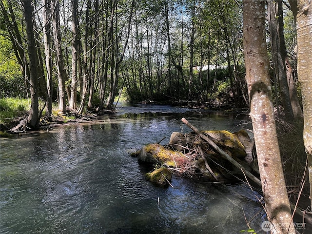 3180 Woodcock Rd, Sequim, WA 98382 - water view
