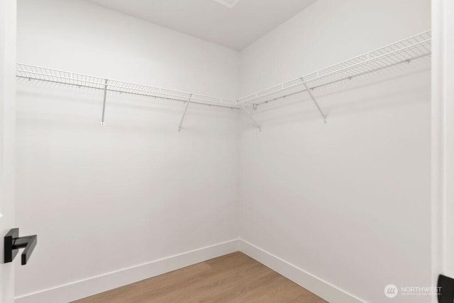 spacious closet featuring light wood-style flooring