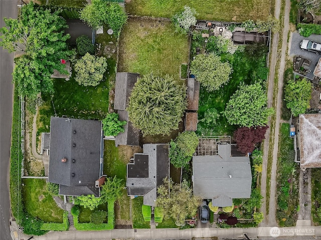 bird's eye view