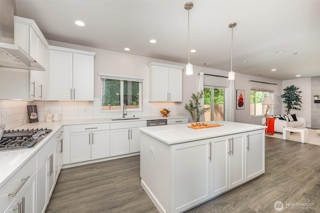 kitchen featuring appliances with stainless steel finishes, wall chimney exhaust hood, a sink, a kitchen island, and white cabinets