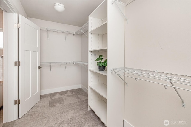 walk in closet with light carpet