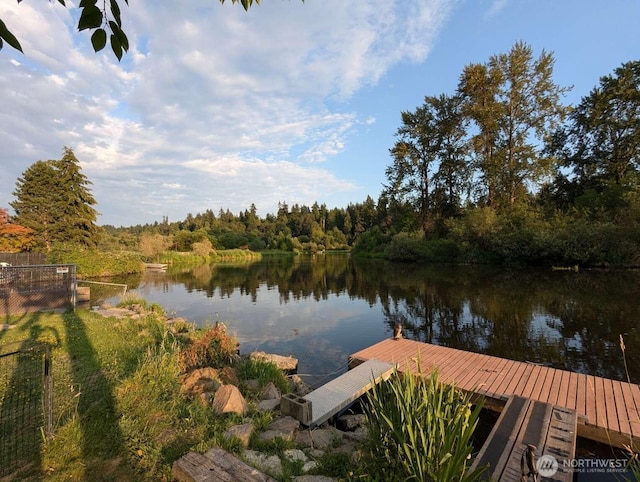 dock with a water view and a forest view