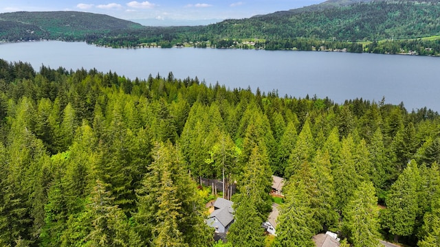 132 Sudden Valley Dr, Bellingham, WA 98229 - drone / aerial view of a heavily wooded area and a water and mountain view