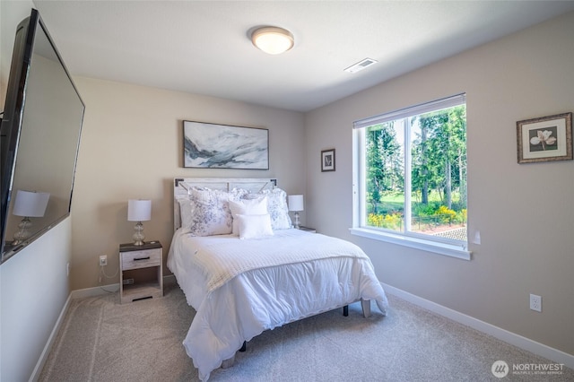 4213 Caddyshack Dr NE, Lacey, WA 98516 - bedroom with carpet and baseboards