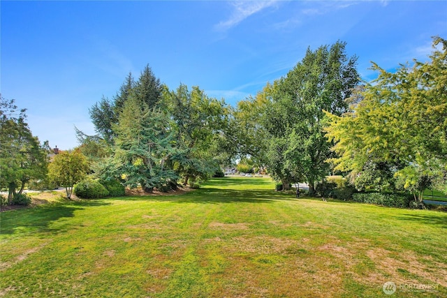 2518 S Park Dr, Bellingham, WA 98225 - view of grassy yard