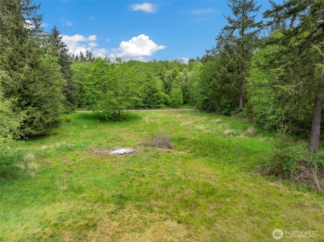 486 Justus Rd, Cinebar, WA 98533 - view of yard featuring a wooded view