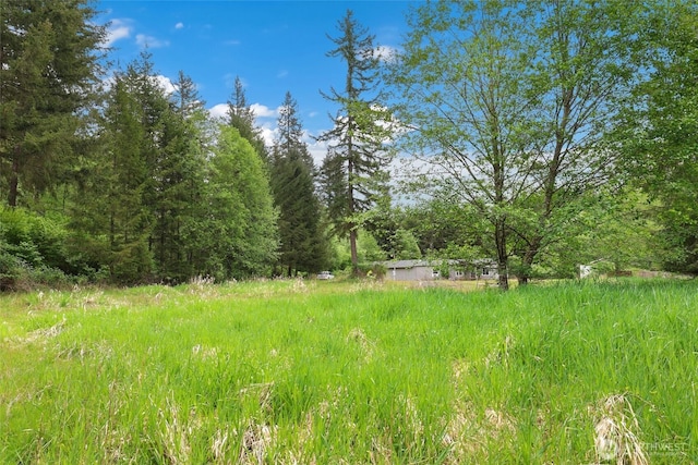 486 Justus Rd, Cinebar, WA 98533 - view of nature
