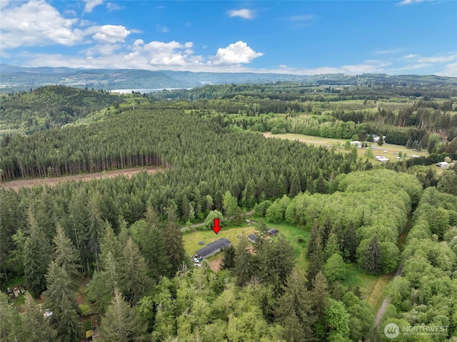 486 Justus Rd, Cinebar, WA 98533 - bird's eye view of a forest and a mountainous background