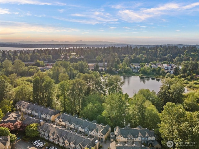 aerial view at dusk of a water view