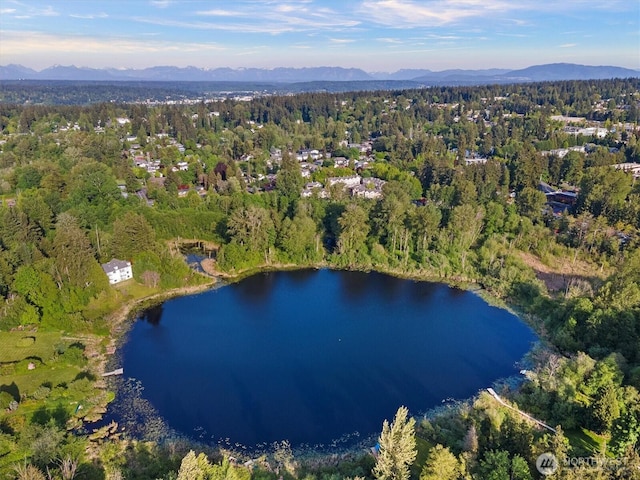 aerial overview of property's location with a heavily wooded area and a water and mountain view