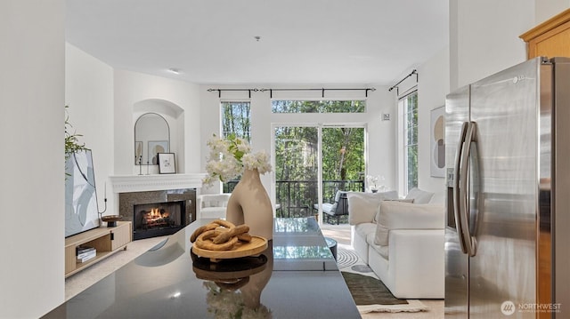 living area featuring a premium fireplace