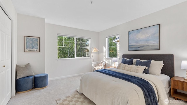 bedroom with carpet, baseboards, and a closet