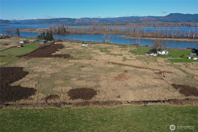 411 W Birnie Slough Rd, Cathlamet, WA 98612