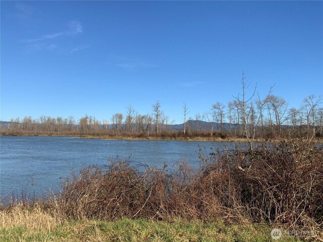 411 W Birnie Slough Rd, Cathlamet, WA 98612