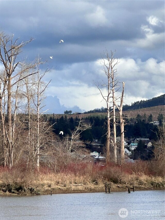 411 W Birnie Slough Rd, Cathlamet, WA 98612