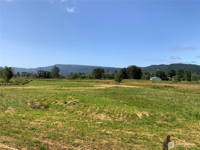 411 W Birnie Slough Rd, Cathlamet, WA 98612