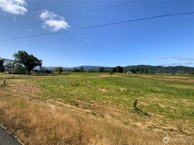 411 W Birnie Slough Rd, Cathlamet, WA 98612