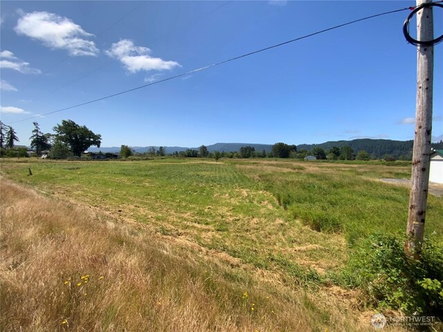 411 W Birnie Slough Rd, Cathlamet, WA 98612