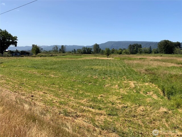 411 W Birnie Slough Rd, Cathlamet, WA 98612