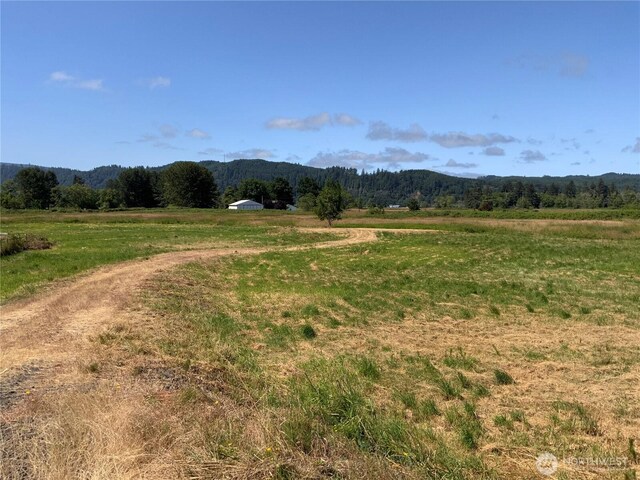 411 W Birnie Slough Rd, Cathlamet, WA 98612