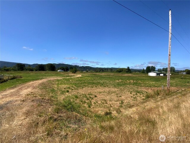 411 W Birnie Slough Rd, Cathlamet, WA 98612