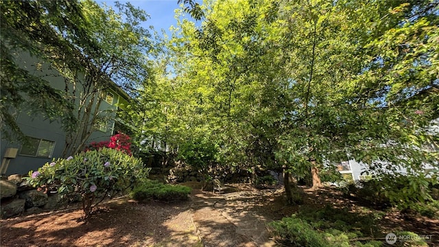 10459 Des Moinesmemorial Dr S Unit N-301, Seattle, WA 98168 - view of yard