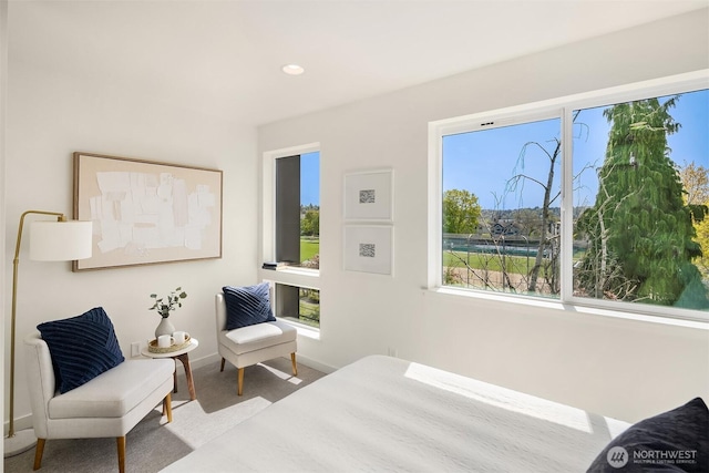 bedroom featuring baseboards, carpet flooring, and recessed lighting