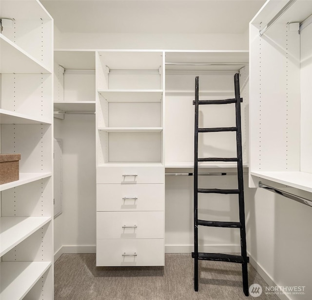 spacious closet with carpet