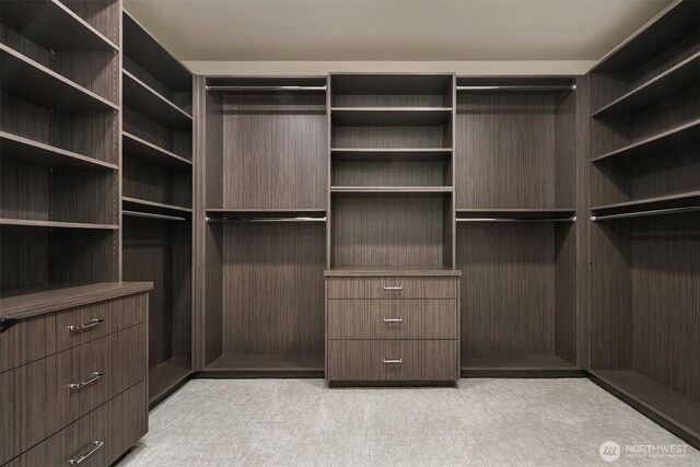 walk in closet with carpet