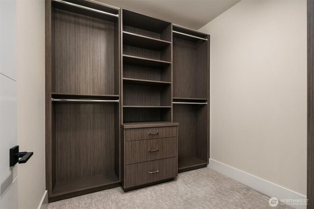 view of closet