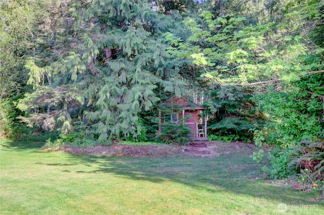 53932 Rockport Cascade Rd, Rockport, WA 98283 - view of green lawn with a wooded view