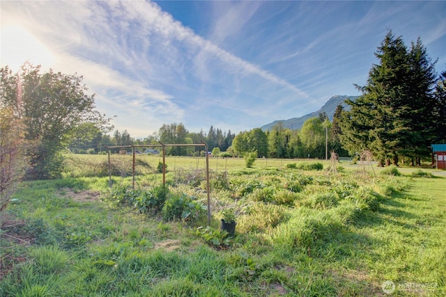 53932 Rockport Cascade Rd, Rockport, WA 98283 - view of yard with a mountain view and a rural view