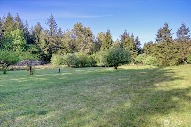 53932 Rockport Cascade Rd, Rockport, WA 98283 - view of grassy yard