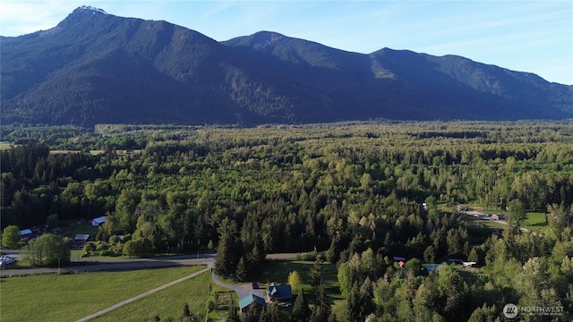 53932 Rockport Cascade Rd, Rockport, WA 98283 - view of mountain background featuring a forest