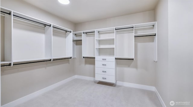 1593 213th Ct NE, Sammamish, WA 98074 - walk in closet featuring light carpet