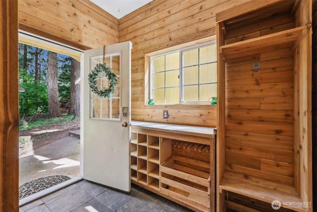 entryway featuring wood walls, healthy amount of natural light, and a relaxing sauna