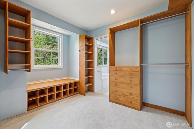 view of closet