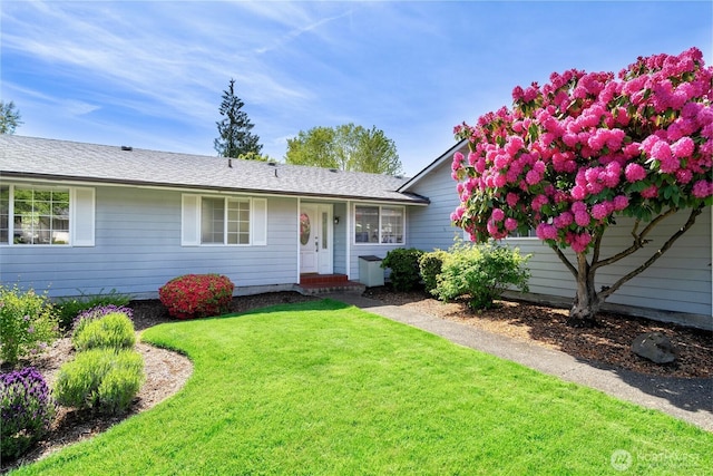 view of front of house featuring a front yard