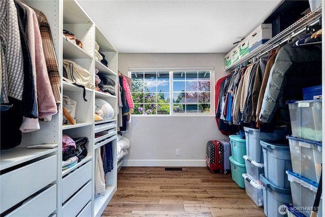 spacious closet with light wood-type flooring