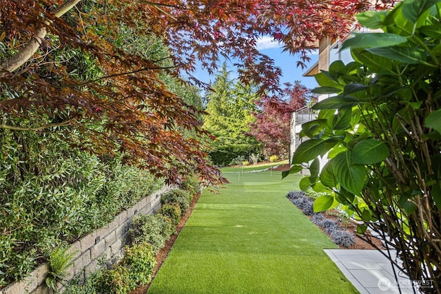 8631 NE 19th Pl, Clyde Hill, WA 98004 - view of property's community featuring a lawn and a putting green