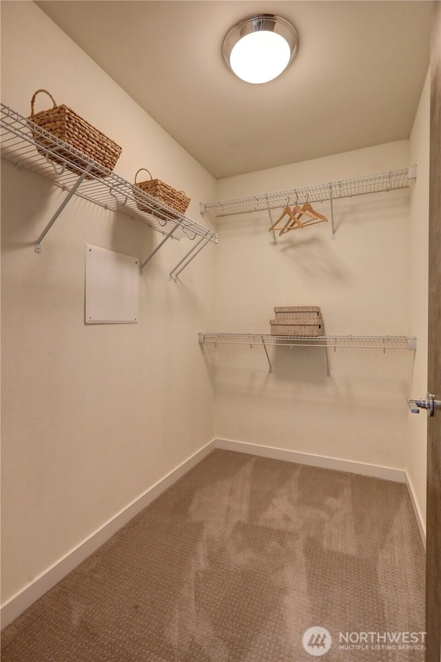 4109 SW Oregon St, Seattle, WA 98116 - photo 16