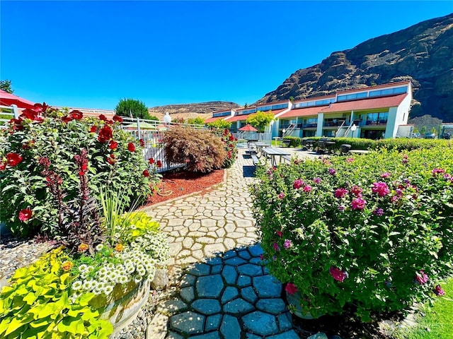 view of yard featuring a mountain view