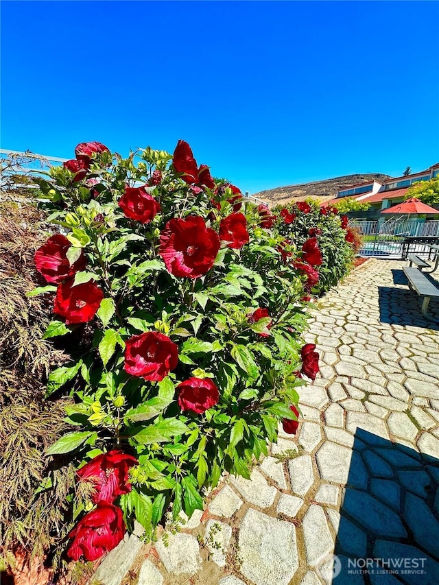exterior view of fence