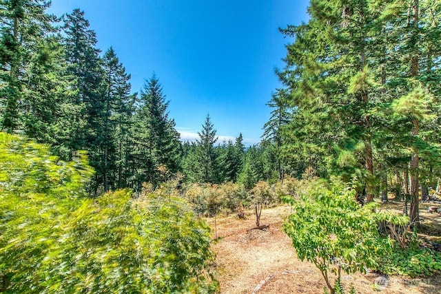 652 Hurricane Hill Rd, Orcas Island, WA 98280 - photo 31
