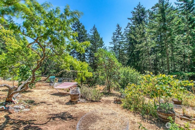 652 Hurricane Hill Rd, Orcas Island, WA 98280 - photo 32