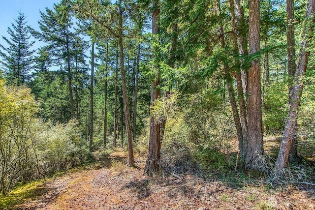 652 Hurricane Hill Rd, Orcas Island, WA 98280 - photo 33