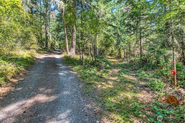 652 Hurricane Hill Rd, Orcas Island, WA 98280 - photo 34