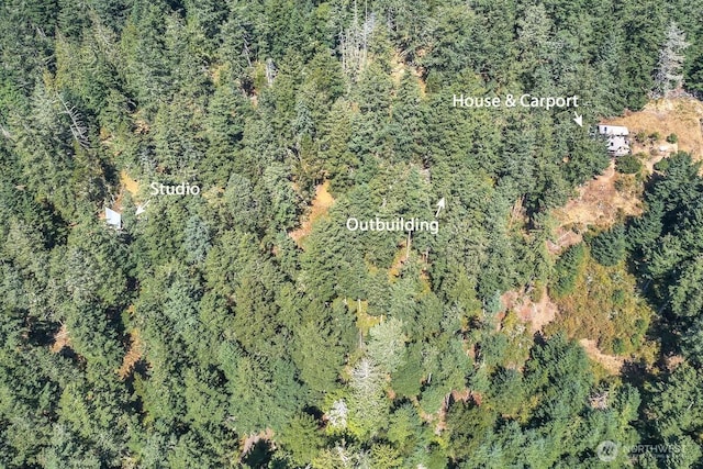 652 Hurricane Hill Rd, Orcas Island, WA 98280 - photo 3