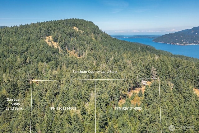 652 Hurricane Hill Rd, Orcas Island, WA 98280 - photo 25