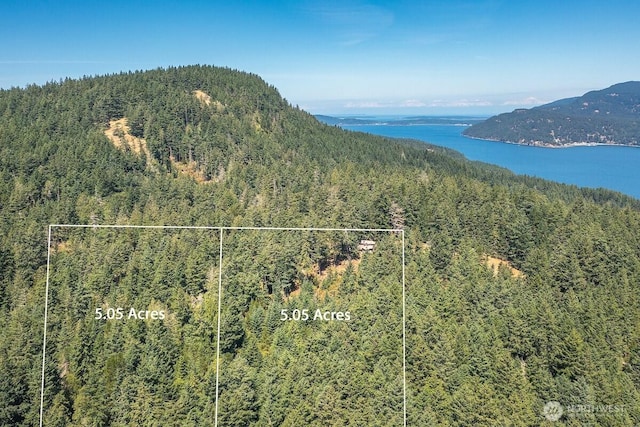 652 Hurricane Hill Rd, Orcas Island, WA 98280 - photo 38
